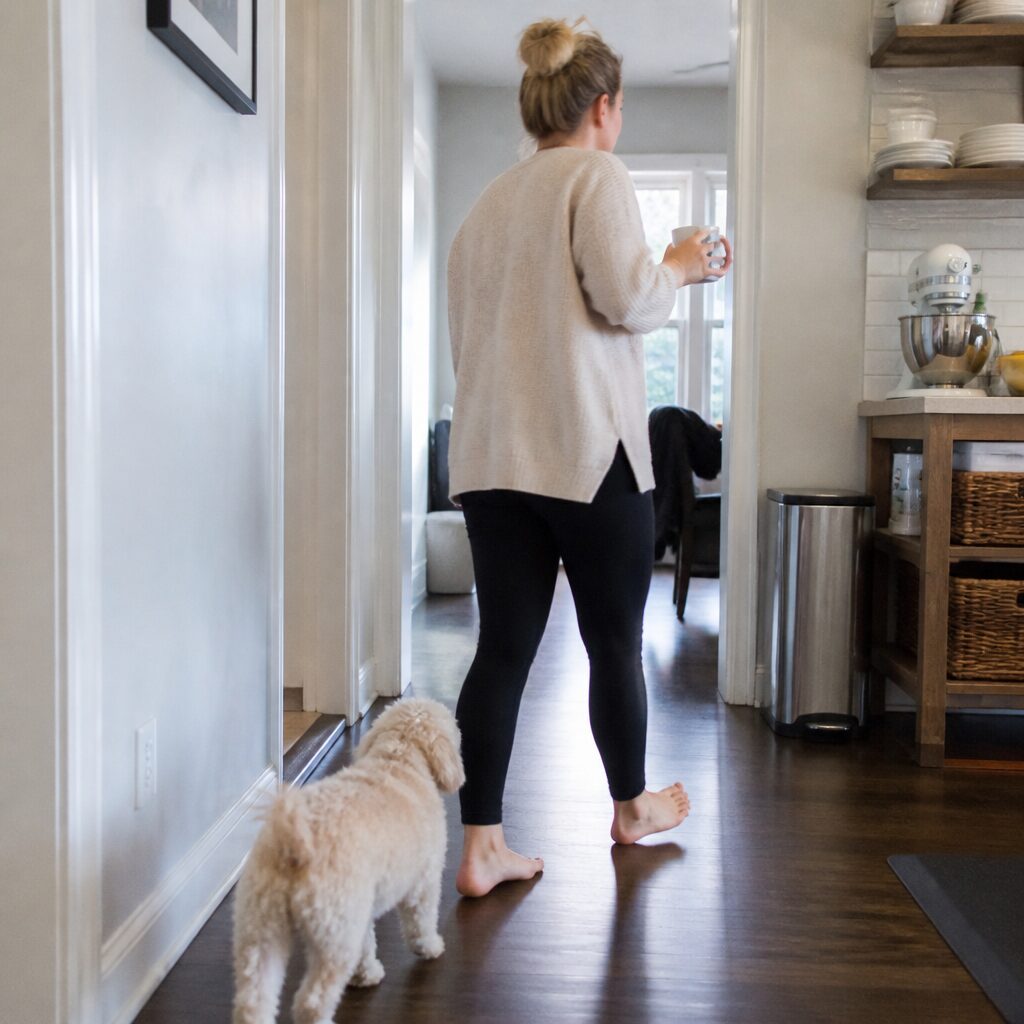 Small velcro dog trailing owner around home with coffee mug — clingy dog behavior